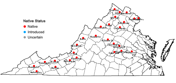 Locations ofPersicaria amphibia (L.) Gray in Virginia