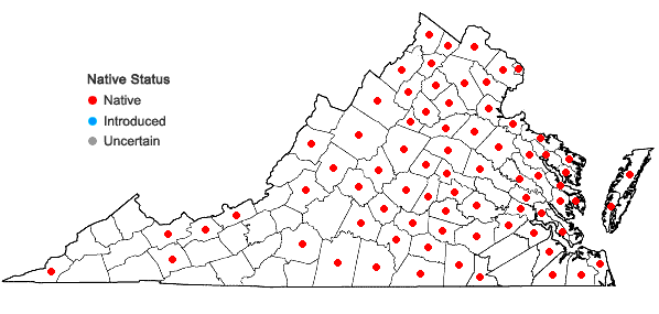 Locations ofPersicaria arifolia (L.) Haraldson in Virginia
