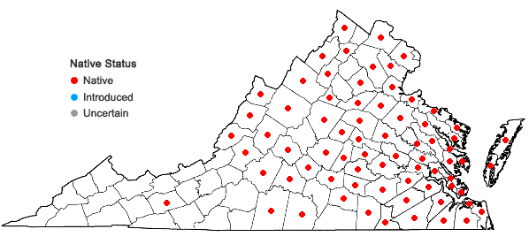 Locations ofPersicaria hydropiperoides (Michx.) Small in Virginia
