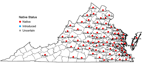 Locations ofPersicaria hydropiperoides (Michx.) Small in Virginia