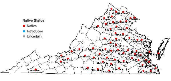 Locations ofPersicaria lapathifolia (L.) Gray in Virginia