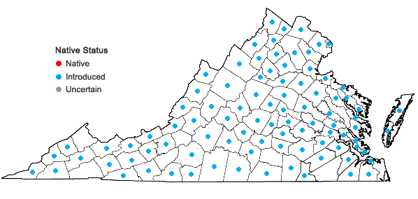 Locations ofPersicaria longiseta (Bruijn) Kitagawa in Virginia