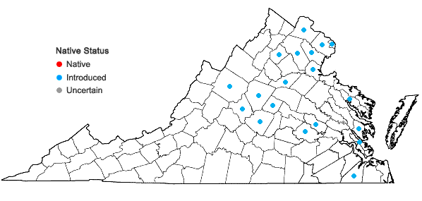 Locations ofPersicaria perfoliata (L.) H. Gross in Virginia
