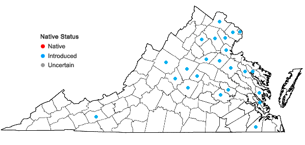 Locations ofPersicaria perfoliata (L.) H. Gross in Virginia