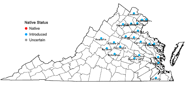 Locations ofPersicaria perfoliata (L.) H. Gross in Virginia