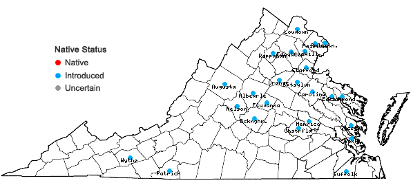 Locations ofPersicaria perfoliata (L.) H. Gross in Virginia