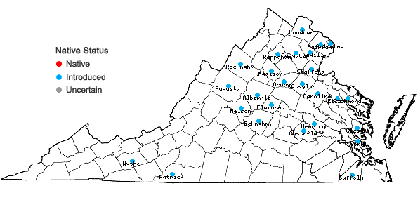 Locations ofPersicaria perfoliata (L.) H. Gross in Virginia