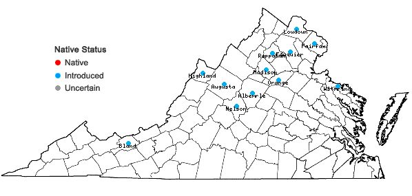 Locations ofPersicaria posumbu (Buch.-Ham. ex D. Don) H. Gross in Virginia