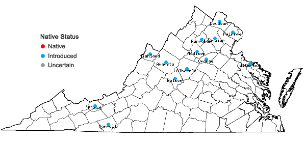 Locations ofPersicaria posumbu (Buch.-Ham. ex D. Don) H. Gross in Virginia