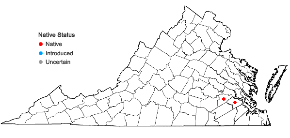 Locations ofPersicaria robustior (Small) E.P. Bicknell in Virginia