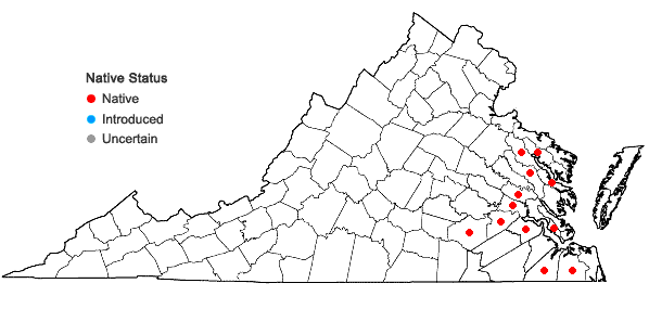 Locations ofPersicaria robustior (Small) E.P. Bicknell in Virginia