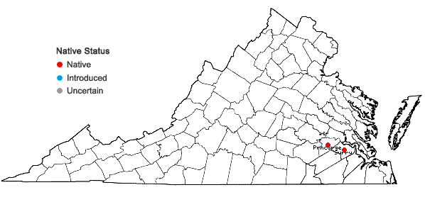 Locations ofPersicaria robustior (Small) E.P. Bicknell in Virginia