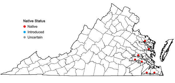 Locations ofPersicaria robustior (Small) E.P. Bicknell in Virginia
