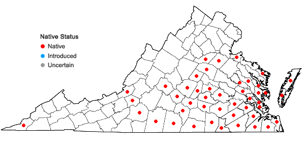 Locations ofPersicaria setacea (Baldw.) Small in Virginia