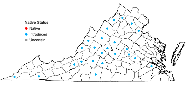 Locations ofPetrorhagia prolifera (L.) P.W. Ball & Heywood in Virginia