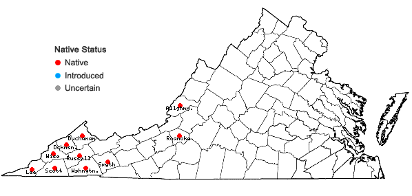 Locations ofPhacelia bipinnatifida Michx. in Virginia