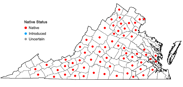 Locations ofPhacelia dubia (L.) Trel. var. dubia in Virginia
