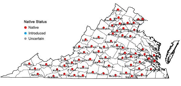 Locations ofPhacelia dubia (L.) Trel. var. dubia in Virginia