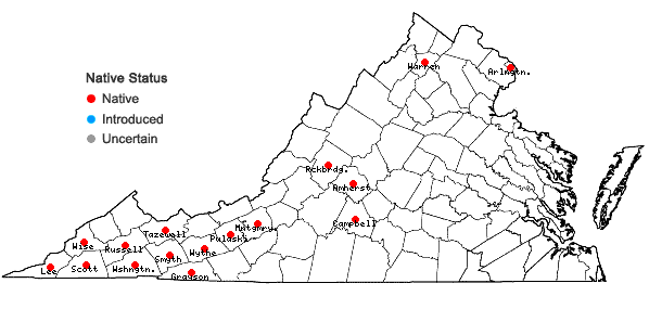 Locations ofPhacelia purshii Buckl. in Virginia