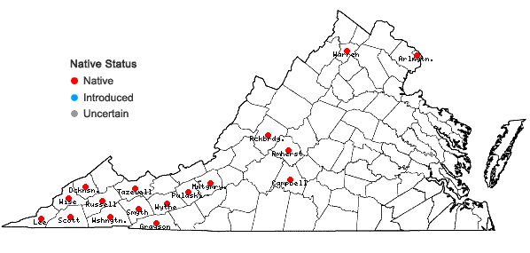 Locations ofPhacelia purshii Buckl. in Virginia