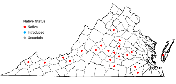 Locations ofPhaeoceros carolinianus (Michx.) Prosk. in Virginia