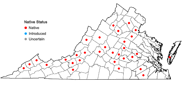 Locations ofPhaeoceros carolinianus (Michx.) Prosk. in Virginia