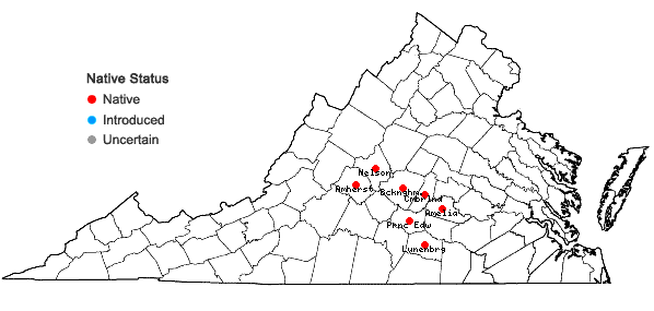 Locations ofPhaeoceros carolinianus (Michx.) Prosk. in Virginia