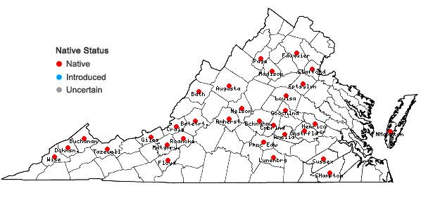 Locations ofPhaeoceros carolinianus (Michx.) Prosk. in Virginia