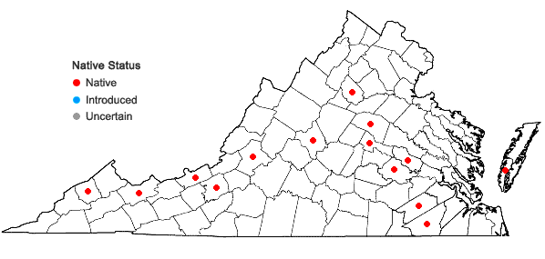 Locations ofPhaeoceros laevis (L.) Prosk. in Virginia