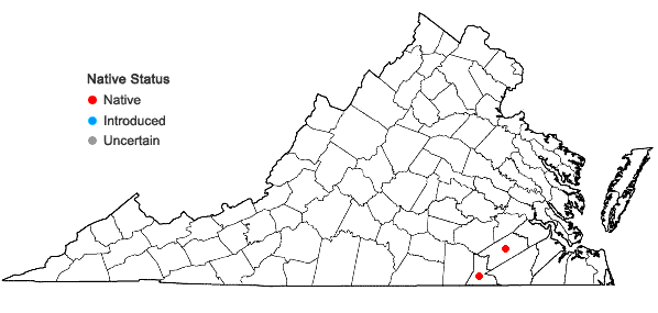 Locations ofPhanopyrum gymnocarpon (Ell.) Nash in Virginia