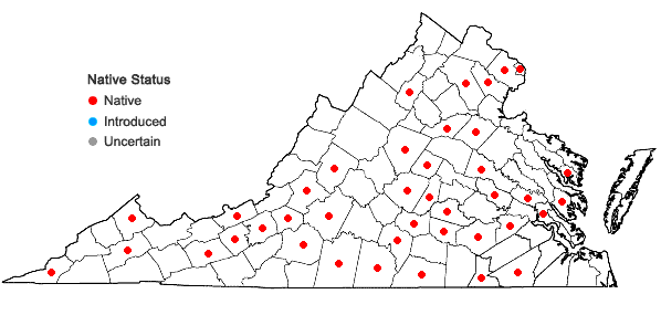 Locations ofPhaseolus polystachios (L.) BSP in Virginia