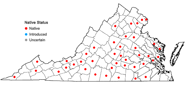 Locations ofPhaseolus polystachios (L.) BSP in Virginia