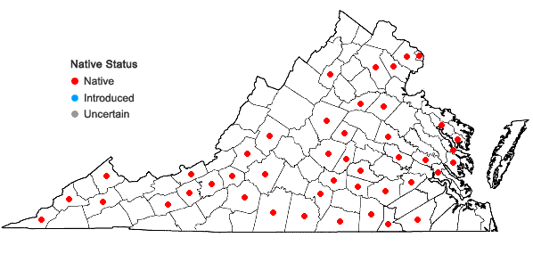 Locations ofPhaseolus polystachios (L.) B.S.P. in Virginia