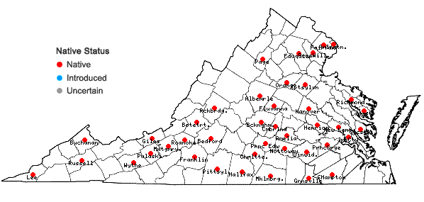 Locations ofPhaseolus polystachios (L.) BSP in Virginia