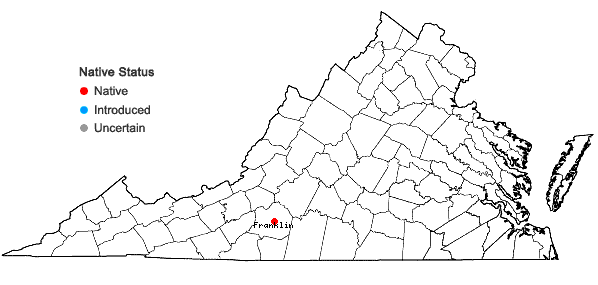 Locations ofPhemeranthus piedmontanus Ware in Virginia