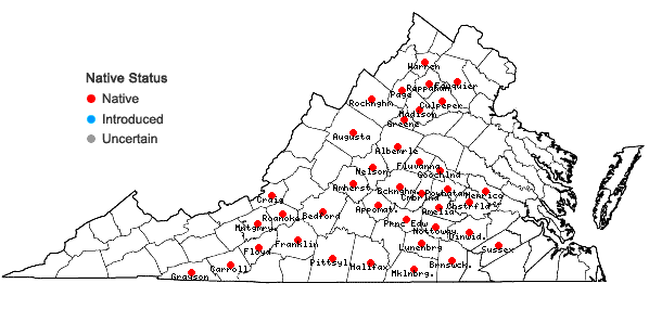 Locations ofPhemeranthus teretifolius (Pursh) Raf. in Virginia