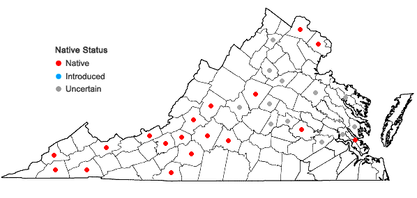 Locations ofPhiladelphus inodorus L. in Virginia