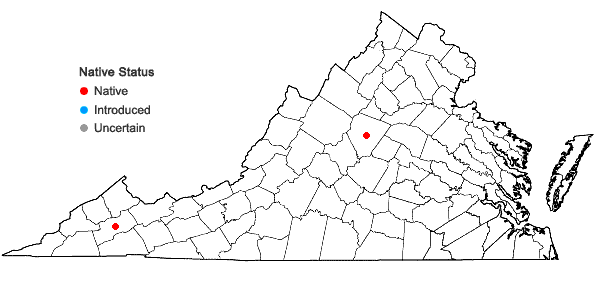 Locations ofPhilonotis gracillima Ångström in Virginia