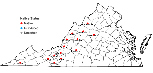 Locations ofPhlox buckleyi Wherry in Virginia