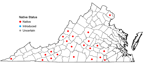Locations ofPhlox carolina L. in Virginia