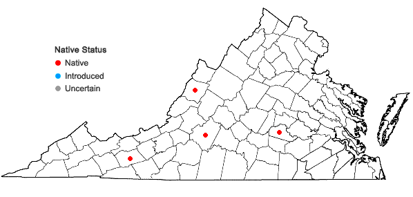 Locations ofPhlox derelicta Floden & McKenzie in Virginia