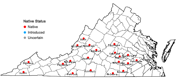 Locations ofPhlox glaberrima L. in Virginia