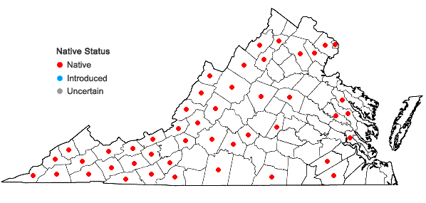 Locations ofPhlox maculata L. in Virginia