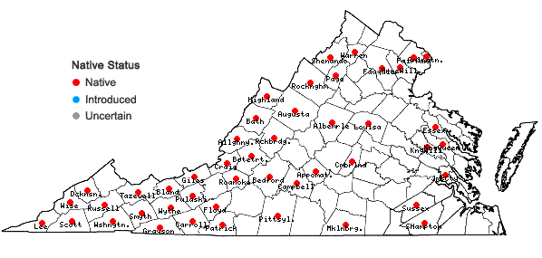 Locations ofPhlox maculata L. in Virginia