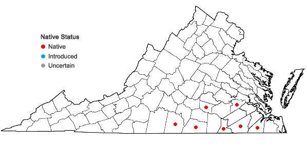 Locations ofPhlox nivalis Lodd. ex Sweet ssp. hentzii (Nutt.) Wherry in Virginia