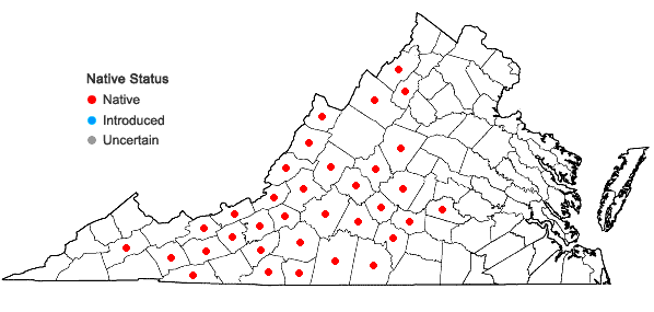 Locations ofPhlox ovata L. in Virginia