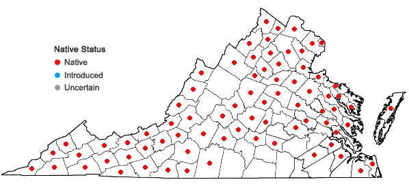 Locations ofPhlox paniculata L. in Virginia