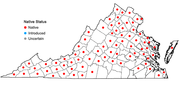 Locations ofPhlox paniculata L. in Virginia