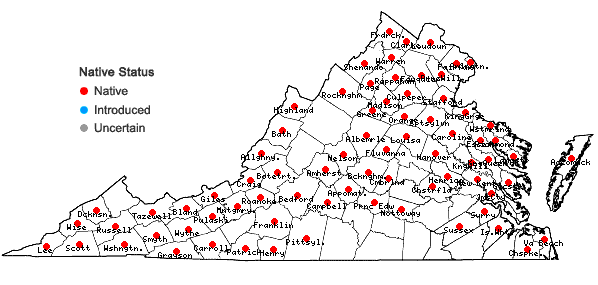 Locations ofPhlox paniculata L. in Virginia