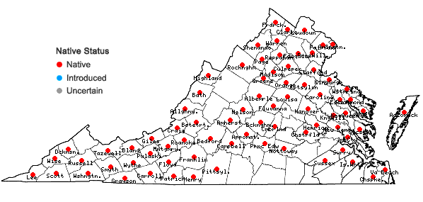 Locations ofPhlox paniculata L. in Virginia